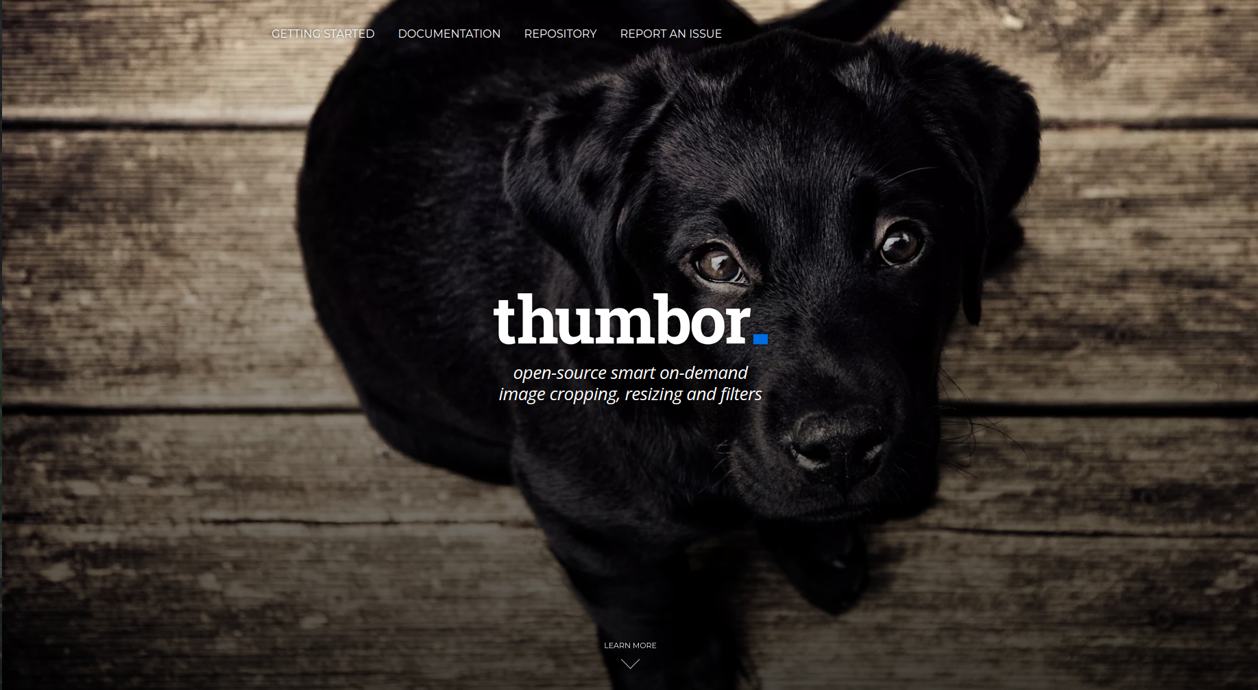 Thumbor